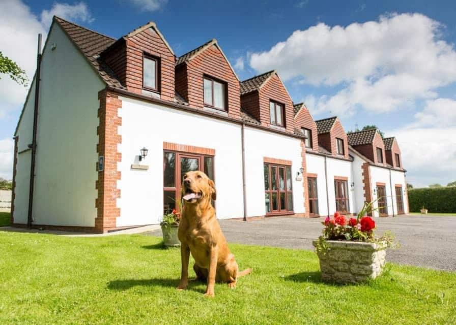 White Rose Country Cottages Thormanby Exteriör bild